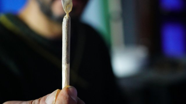 Zwölf Kilogramm Marihuana gefunden - Drogenkurier festgenommen