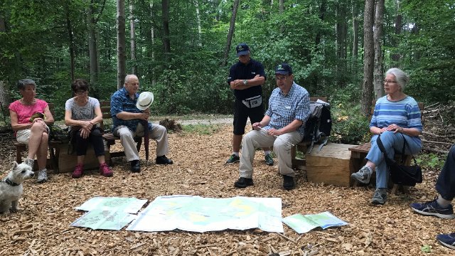 Lahnstein: 240 Hektar große Waldfläche als Kur- und Heilwald genutzt