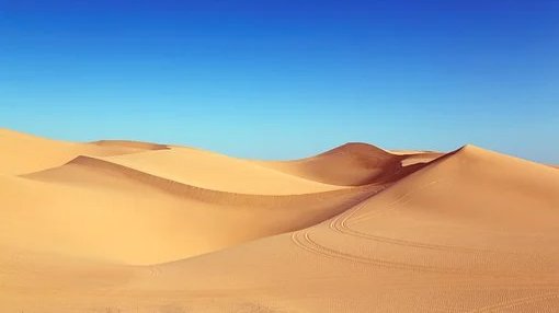 Professor aus dem Hunsrück will gegen den Klimawandel arbeiten  
