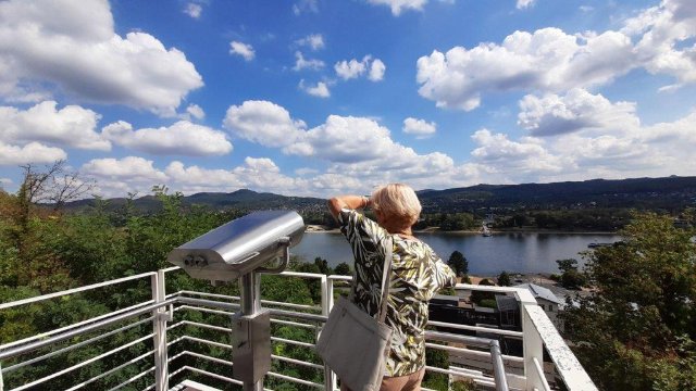 Reisen ohne Koffer ins Arp-Museum 