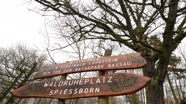 Lahnstein: Kur- und Heilwälder sind neue Chancen für Gesundheitstourismus 