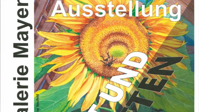 Ausstellung „Licht und Schatten“ in der Stehbach-Galerie 