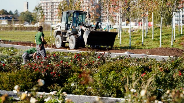 Bundesgartenschau 2029 startet erste Planungswettbewerbe