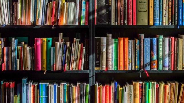 Bücherschrank in Niederlahnstein steht bald