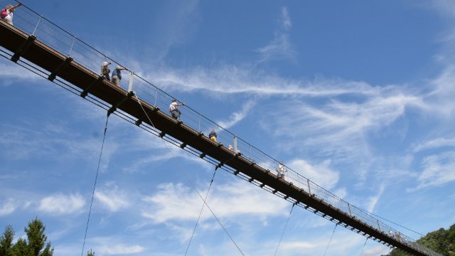 Flutschäden - Neue 110-Meter-Hängebrücke in der Südeifel geplant