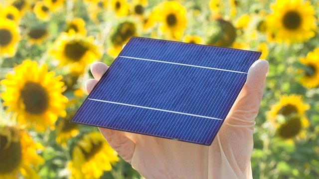  Neue Projekte für den Urmitzer Umweltfonds in Planung