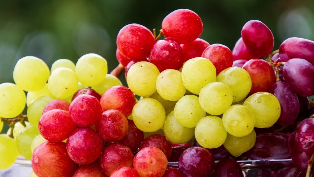 Weinbauministerin lehnt EU-Pläne für weniger Pestizide ab