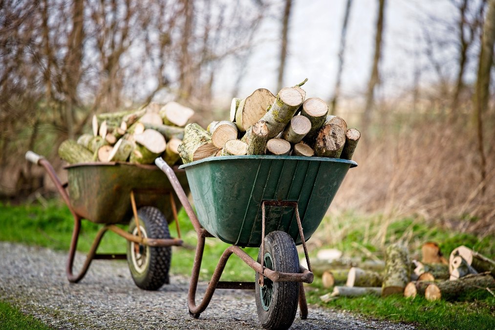 Gestiegene Preise für Brennholz fördern Holzdiebstähle Gestiegene Preise für Brennholz fördern Holzdiebstähle