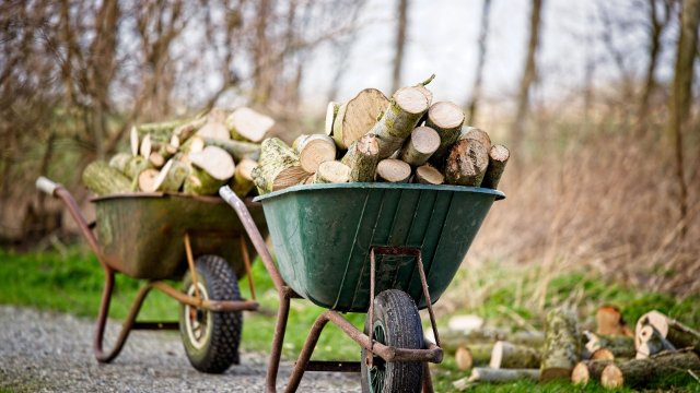 Gestiegene Preise für Brennholz fördern Holzdiebstähle