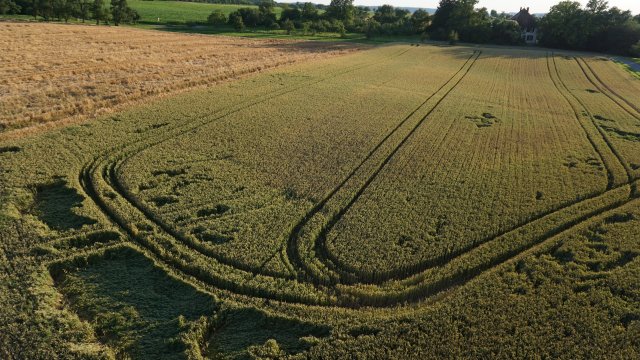 Landkreis Neuwied: Unbekannte verwüsten mit Autos Feld eines Landwirts