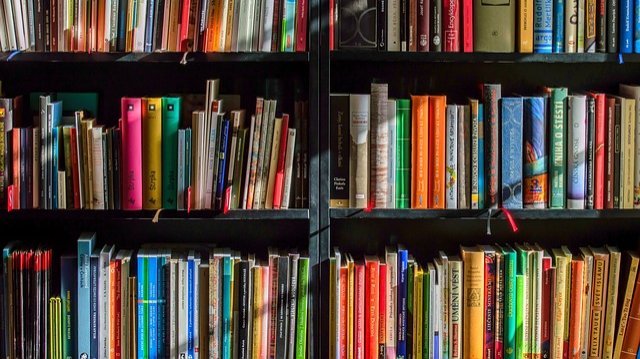 Weihnachtliche Vorlesestunde in der Stadtbibliothek