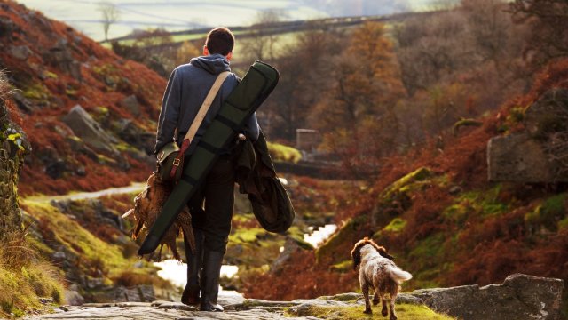 Mehr Menschen mit Jagdschein in Rheinland-Pfalz