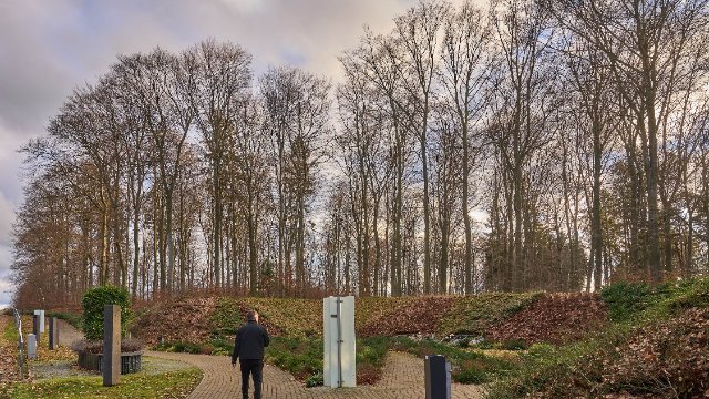 Klimawandel: Baumsterben auch in Bestattungswäldern