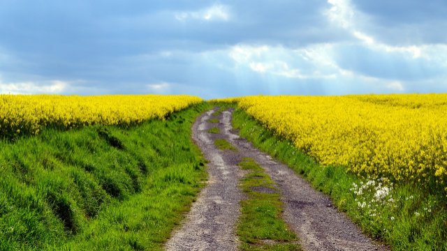 Neue Satzung dient der Instandhaltung der Feld- und Waldwege