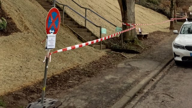 Baumkataster – Beginn der Pflegemaßnahmen in Nievern