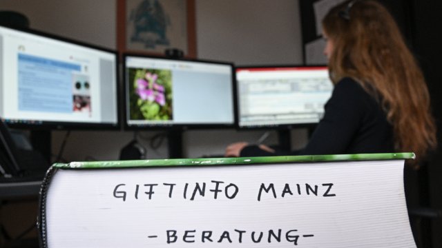 Tabletten oder Batterien - Anrufe beim Giftnotruf retten Leben