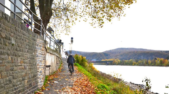 Radrouten am Rhein werden verbessert Radrouten am Rhein werden verbessert