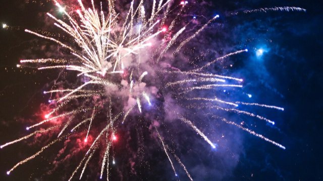 Silvesterfeuerwerk – Des einen Freude, des anderen Ärgernis! Silvesterfeuerwerk – Des einen Freude, des anderen Ärgernis!