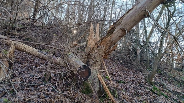 Aktemächer-Gang war wieder unterwegs 