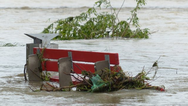 Vortrag am 1. März: Kann der Neuwieder Deich Klimawandel?