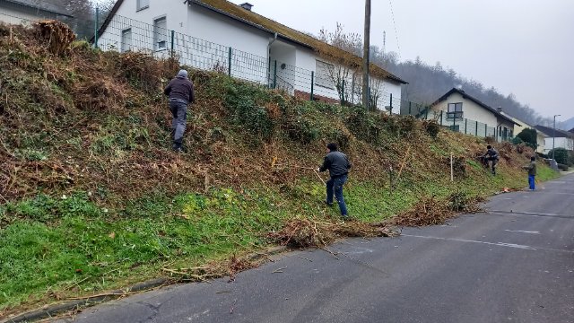 "Heckebock Först" wieder aktiv