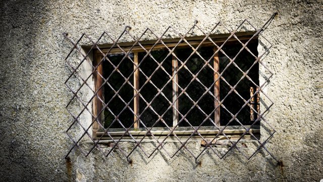 Dezernentin führt durch Ausstellungen