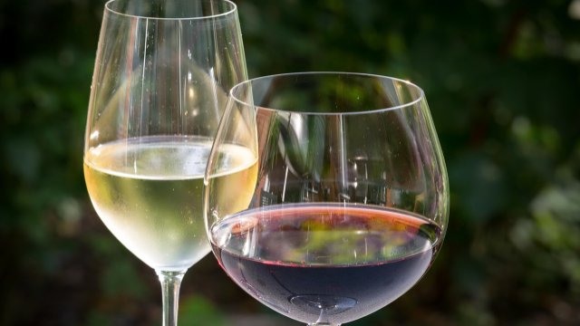 Festivalwinzer:innen gesucht