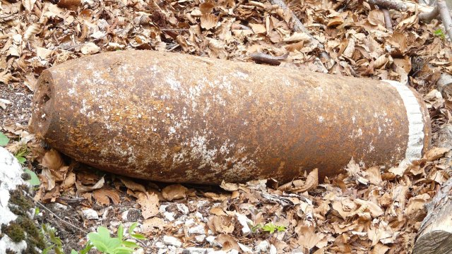 Bombenfund in einem Waldstück bei Güls