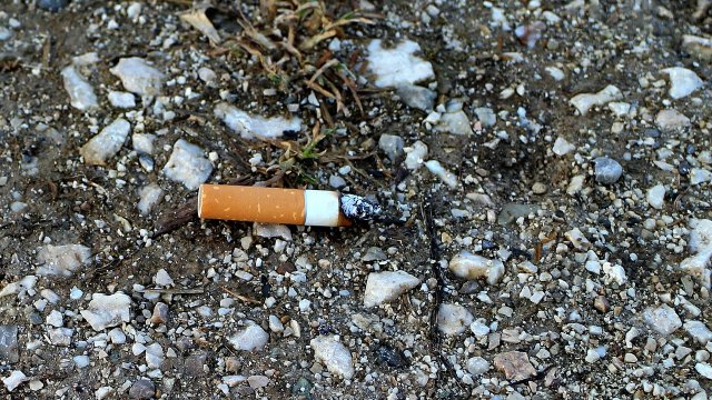 Weggeworfene Zigarettenstummel – eine Gefahr für die Umwelt Weggeworfene Zigarettenstummel – eine Gefahr für die Umwelt