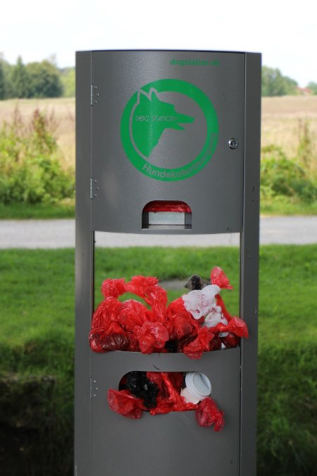 Der Kampf der Kommunen gegen den Hundekot Der Kampf der Kommunen gegen den Hundekot