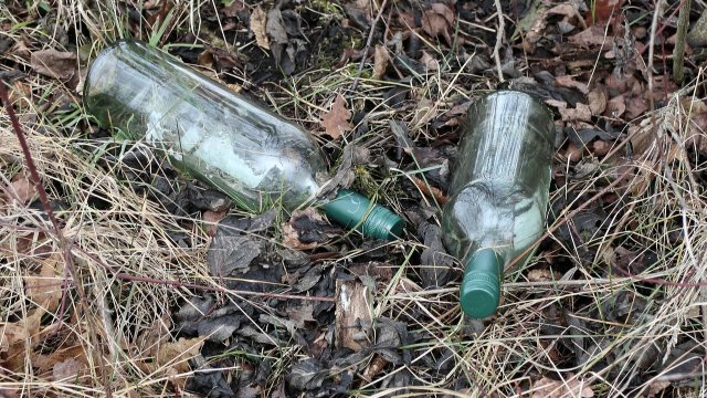 Aktion "Saubere Landschaft" in Weidenhahn