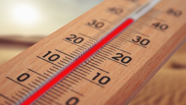 Koblenz erhält Förderung für die Erstellung eines nachhaltigen Klimaanpassungskonzeptes