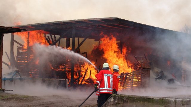 Hunsrück: Tote Kälber nach Brand in landwirtschaftlichem Betrieb