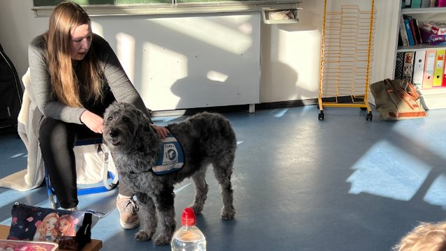 Goethe-Schule begrüßt Schul- und Therapiehund in der  „Hundeklasse“ 2a