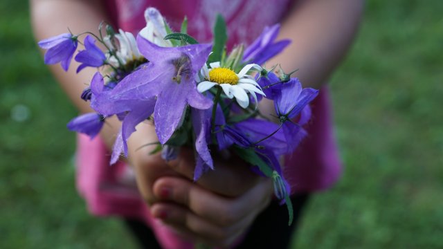 Weltfrauentag: Rheinland-Pfalz feiert