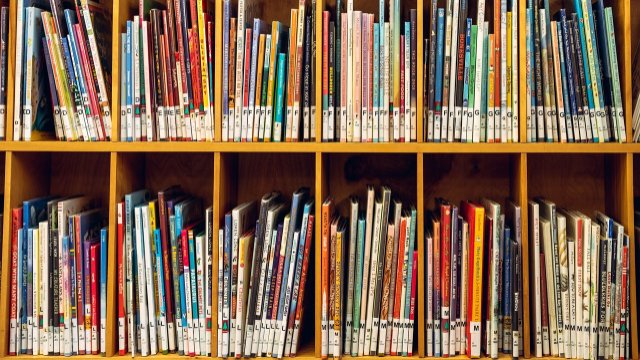 Bücherbus hält am 17. April nicht in Pfaffendorf