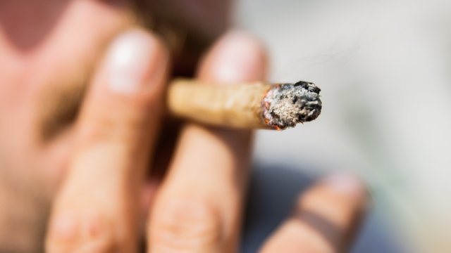 Cannabis und Straßenverkehr: Verbände warnen vor Risiken