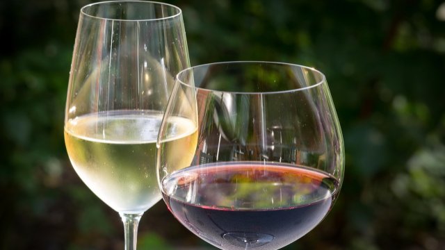 Oberbürgermeister und Koblenzer Winzer laden zur Frühjahrsweinprobe ein
