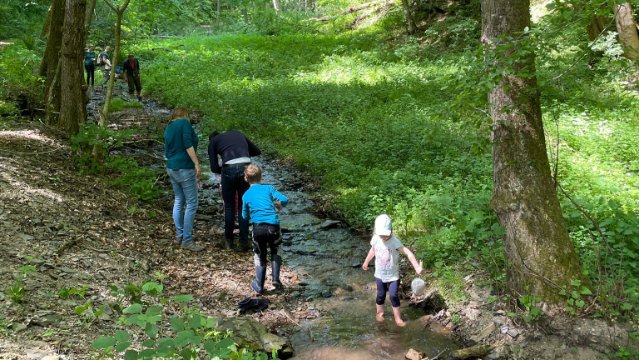 Strudelwürmer, Bachflohkrebse und Eintagsfliegen entdecken