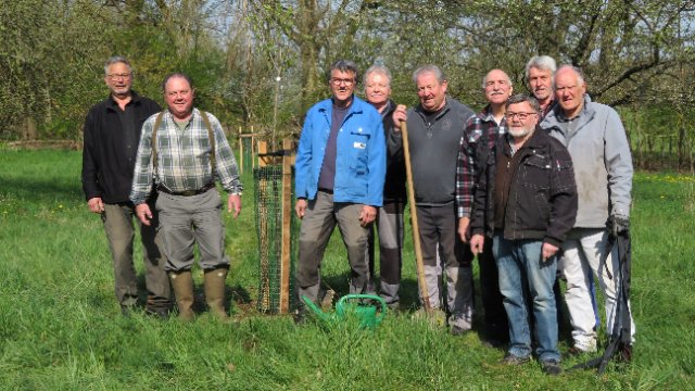 Zukunftswerkstatt Marienrachdorf pflanzt neue Bäume