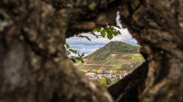 Kritik an ADD-Chef nach Aussage zu Urlaubsreise seiner Vize