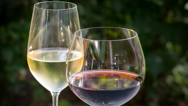 Feierliche Eröffnung des 2. Koblenzer Weinfestivals am 5. Mai 