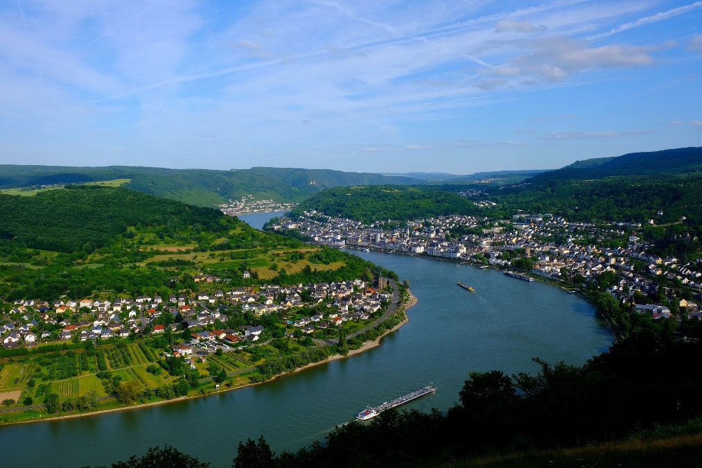 Boppard: Naturschutzgebiet extrem artenreich Boppard: Naturschutzgebiet extrem artenreich