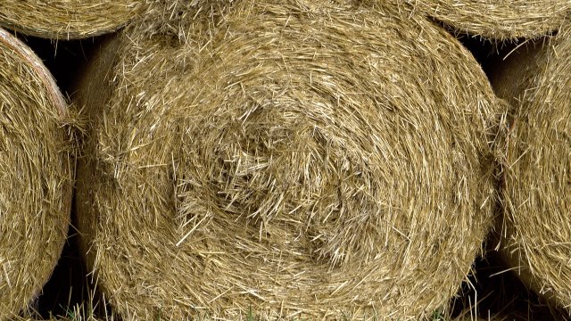 Straßenhaus: Vermehrt brennen Heuballen
