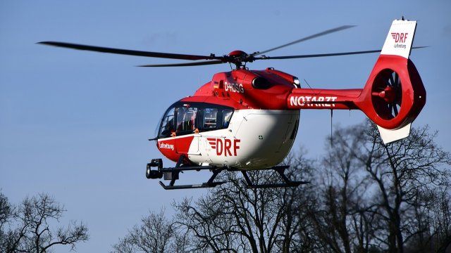 Defektes Tor war Ursache für Unfall auf Straußenfarm in Remagen