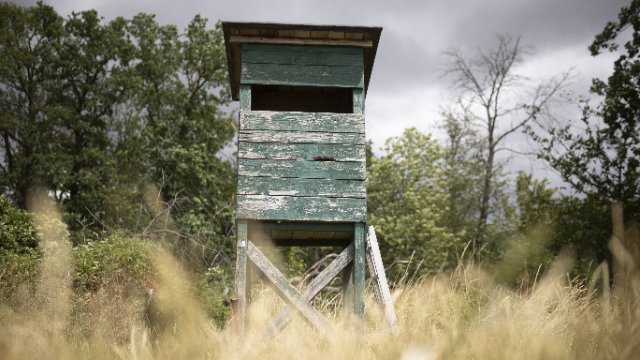 Jagdverband protestiert mit "Warnstreik" gegen neues Jagdgesetz