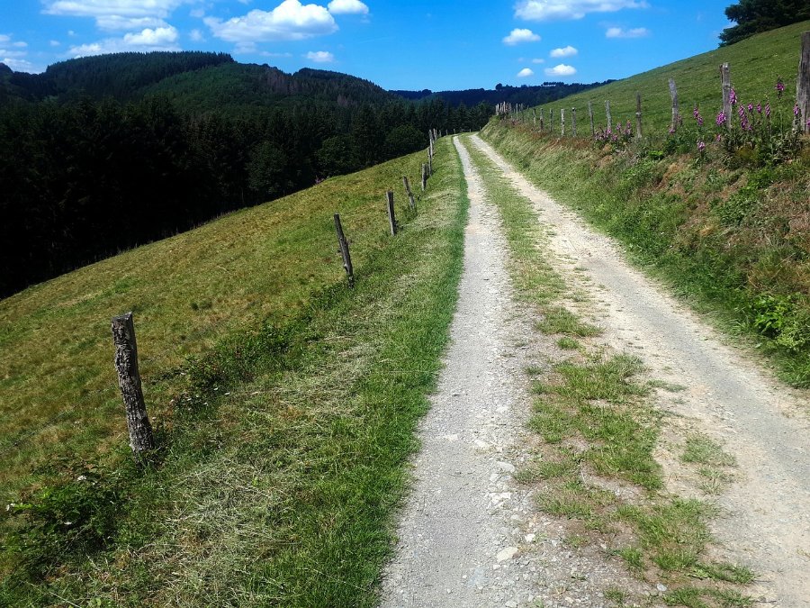Eifelsteig erneut mit Deutschem Wandersiegel zertifiziert Eifelsteig erneut mit Deutschem Wandersiegel zertifiziert