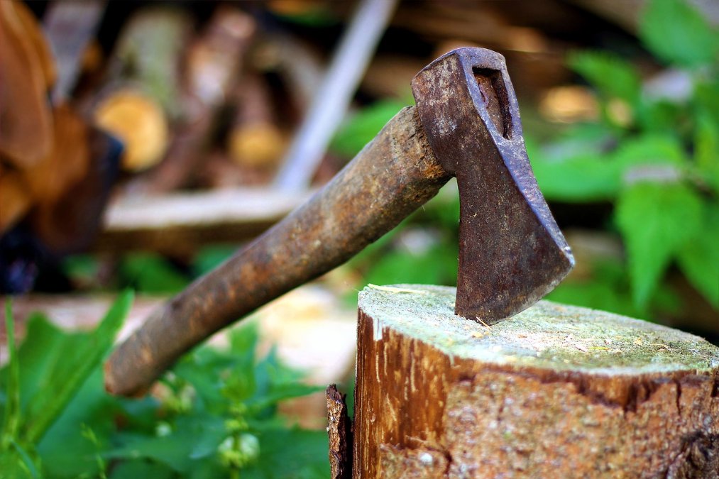 Rheinland-Pfalz führt Label für Kennzeichnung von regionalem Holz ein Rheinland-Pfalz führt Label für Kennzeichnung von regionalem Holz ein
