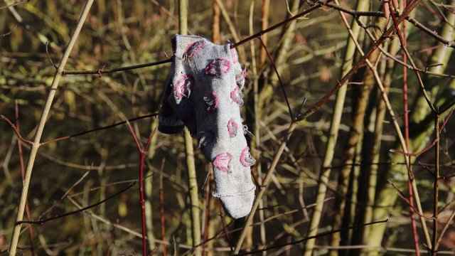 Suche mit Leichenspürhunden und Tauchern nach vermisster Frau
