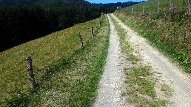 Eifelsteig erneut mit Deutschem Wandersiegel zertifiziert